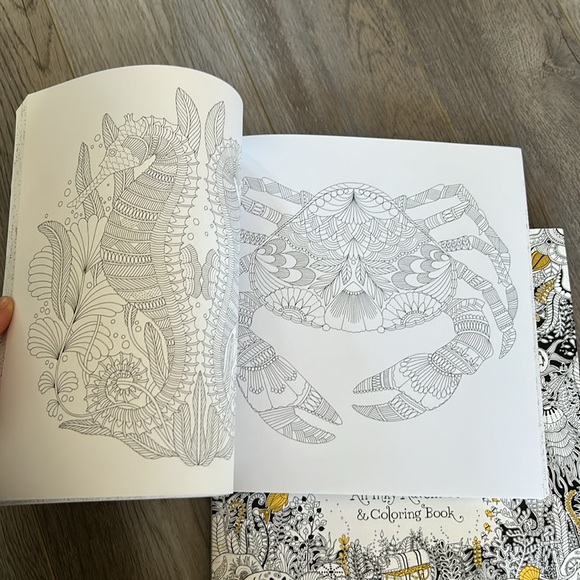 ✨TWO✨Adult Coloring Books - Picture 4 of 4